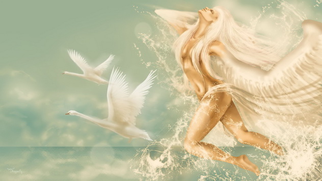 крылатая блондинка летит вместе со стаей белых лебедей, фэнтези картинка