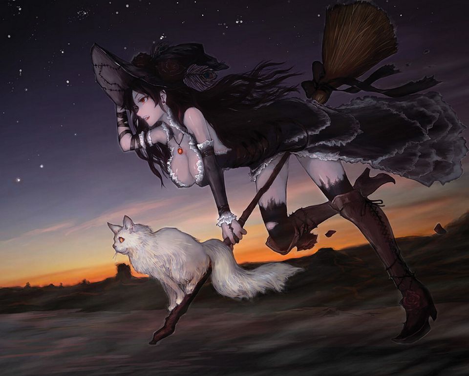 грудастая аниме ведьма на метле с белым котом, рисунок современной ведьмы
