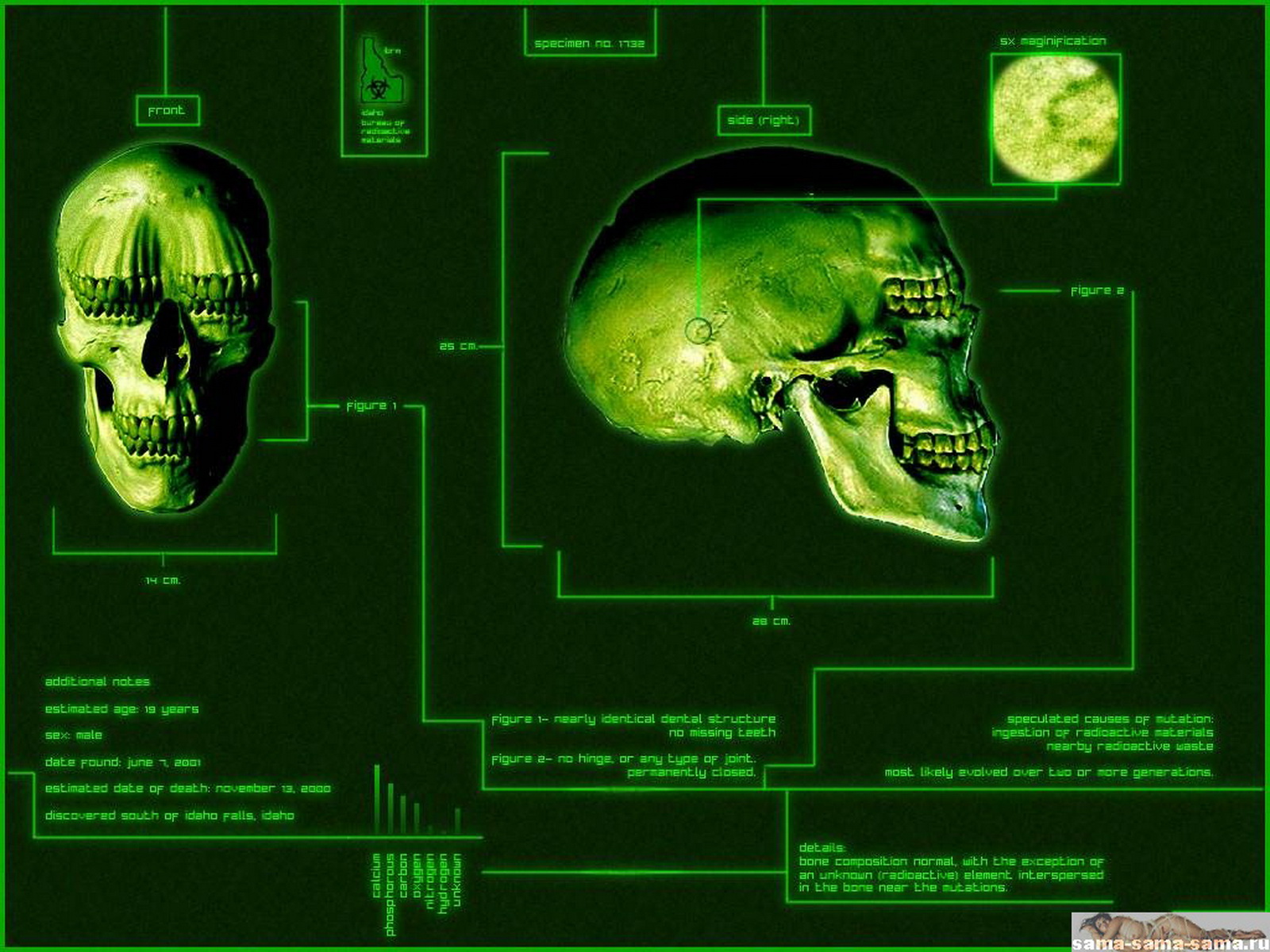 челюсти, череп, зеленый фон, окаменевшие зубы, 3D обои для рабочего стола