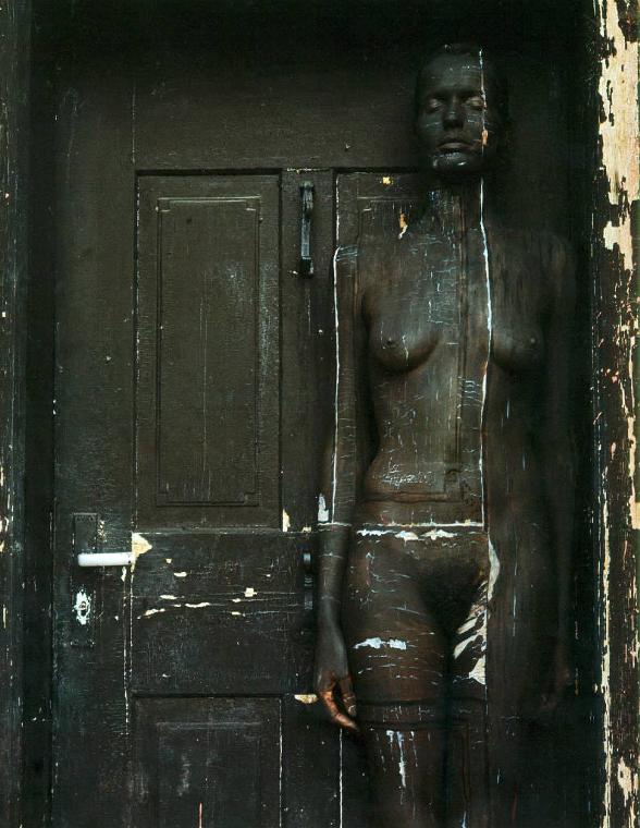 старая дверь, мимикрия. рисунок на теле