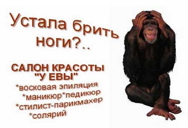 шимпанзе хватается за голову пример эротической рекламы фото