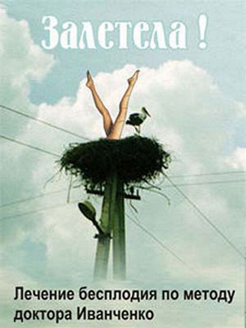 голые женские ноги торчат из гнезда аиста на столбе пример эротической рекламы фото