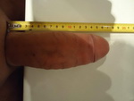 Фото мужского члена в состоянии эрекции длиной 16 см, фото пениса 07