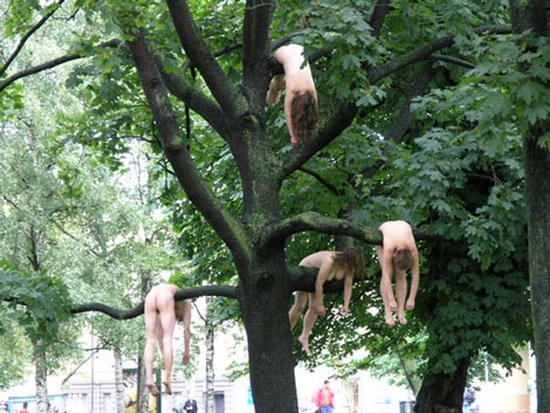 разметало. голые женщины висят на ветвях дерева. порноприкол