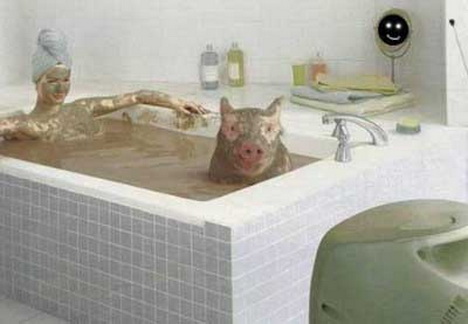 грязевые ванны. свинья грязи найдет. девушка со свиньей в ванне. порноприкол