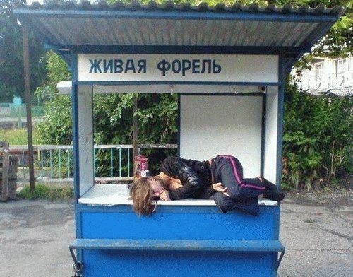 форель почти дохлая. пьяная девушка спит на прилавке под вывеской живая форель