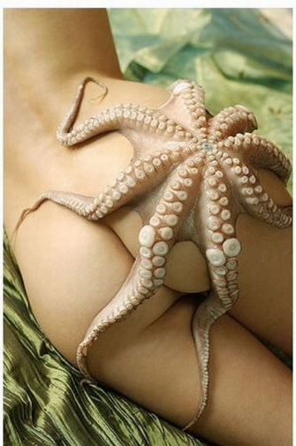 осьминожка. дохлый осьминог на попе азиатской девушки.   смешная эротическая картинка, прикол
