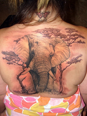 слон в джунглях, женская татуировка фото
