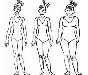 три основных типа телосложения: астенический, нормостенический и гиперстенический