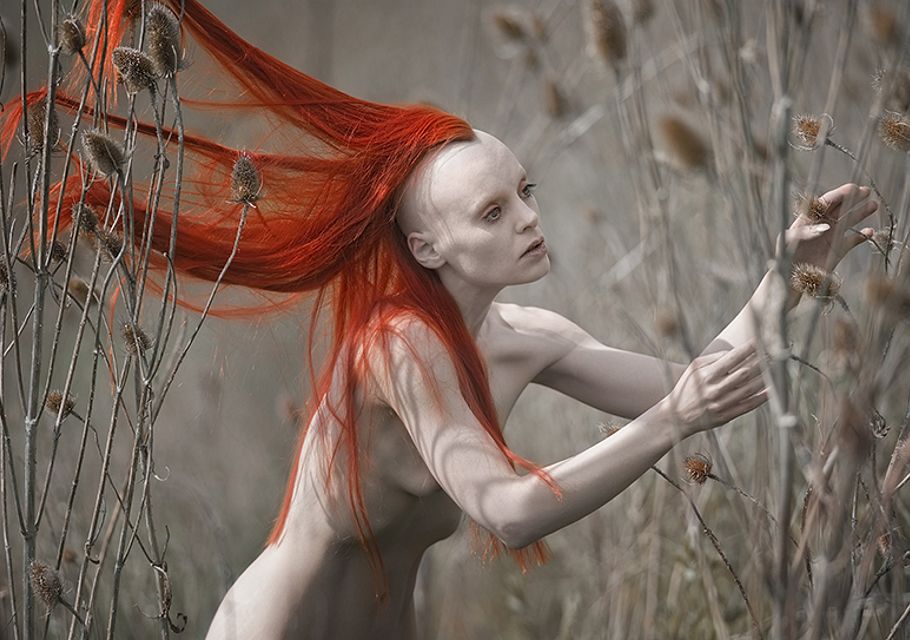 худая рыжая ведьма голышом собирает колдовские травы в зарослях колючек