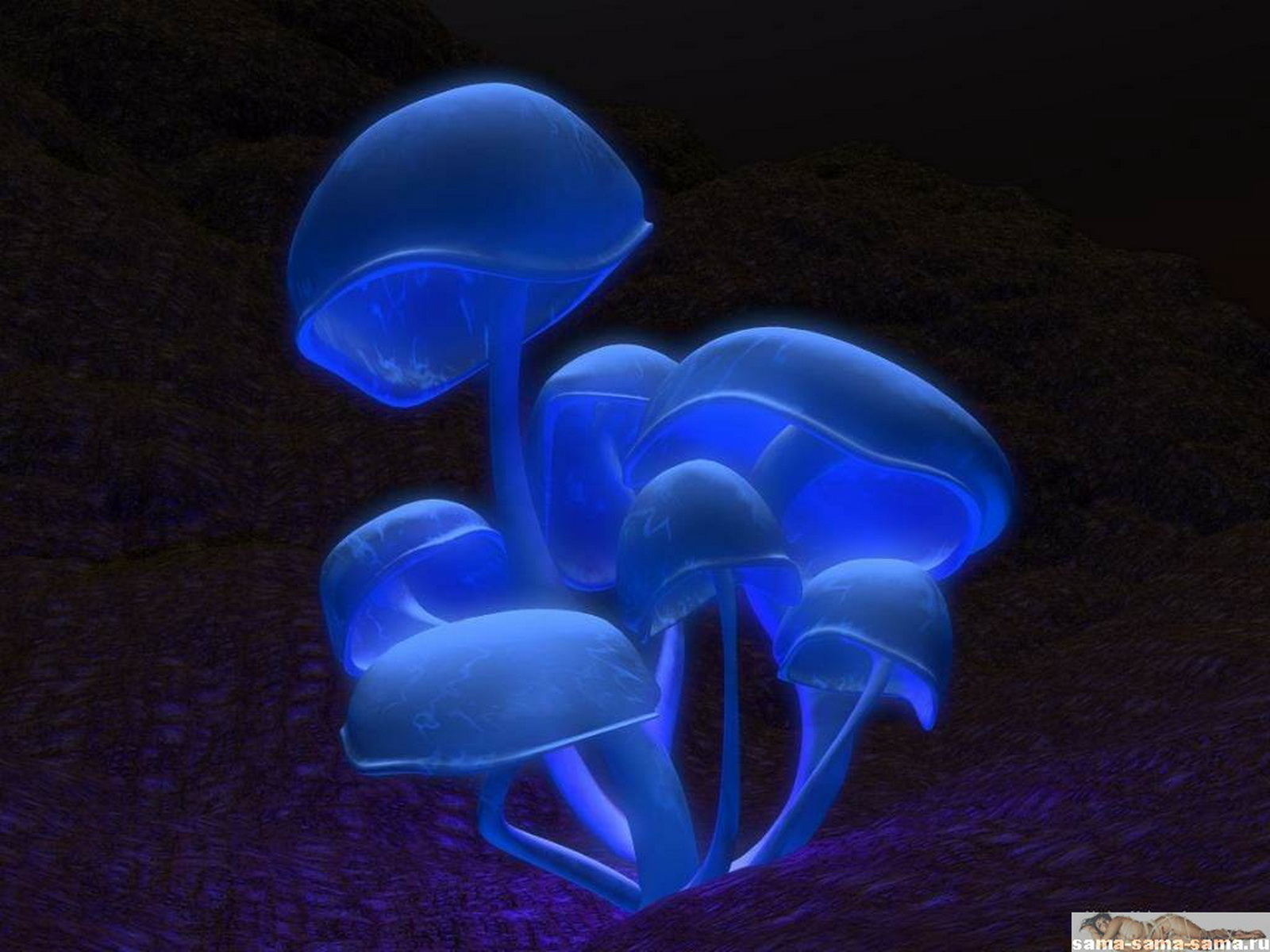 поганки, светящиеся синие грибы, темно фиолетовый фон, 3D обои для рабочего стола