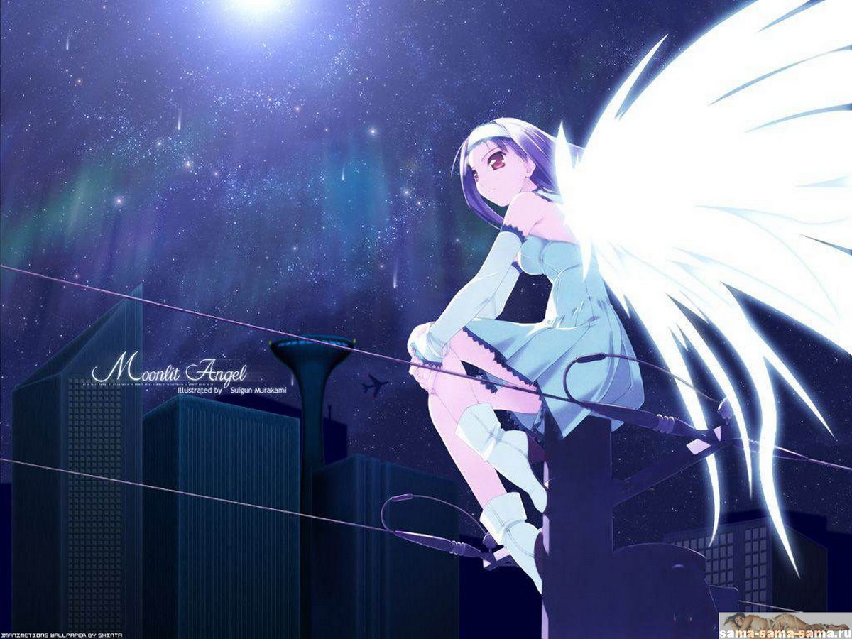девушка ангел сидит на проводах, аниме фон для рабочего стола 19