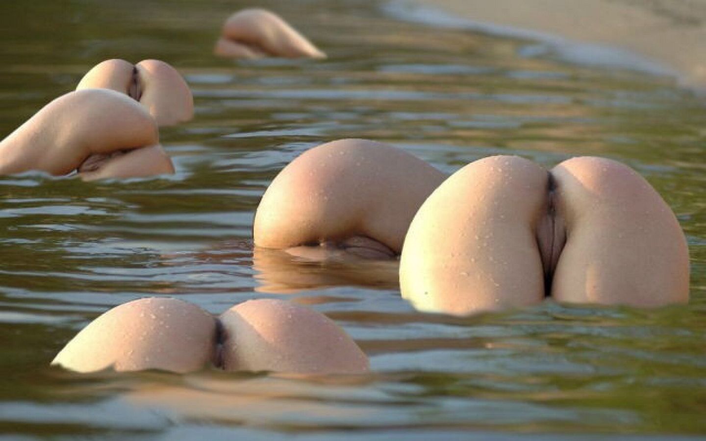 пейзаж с торчащими из воды женскими попками