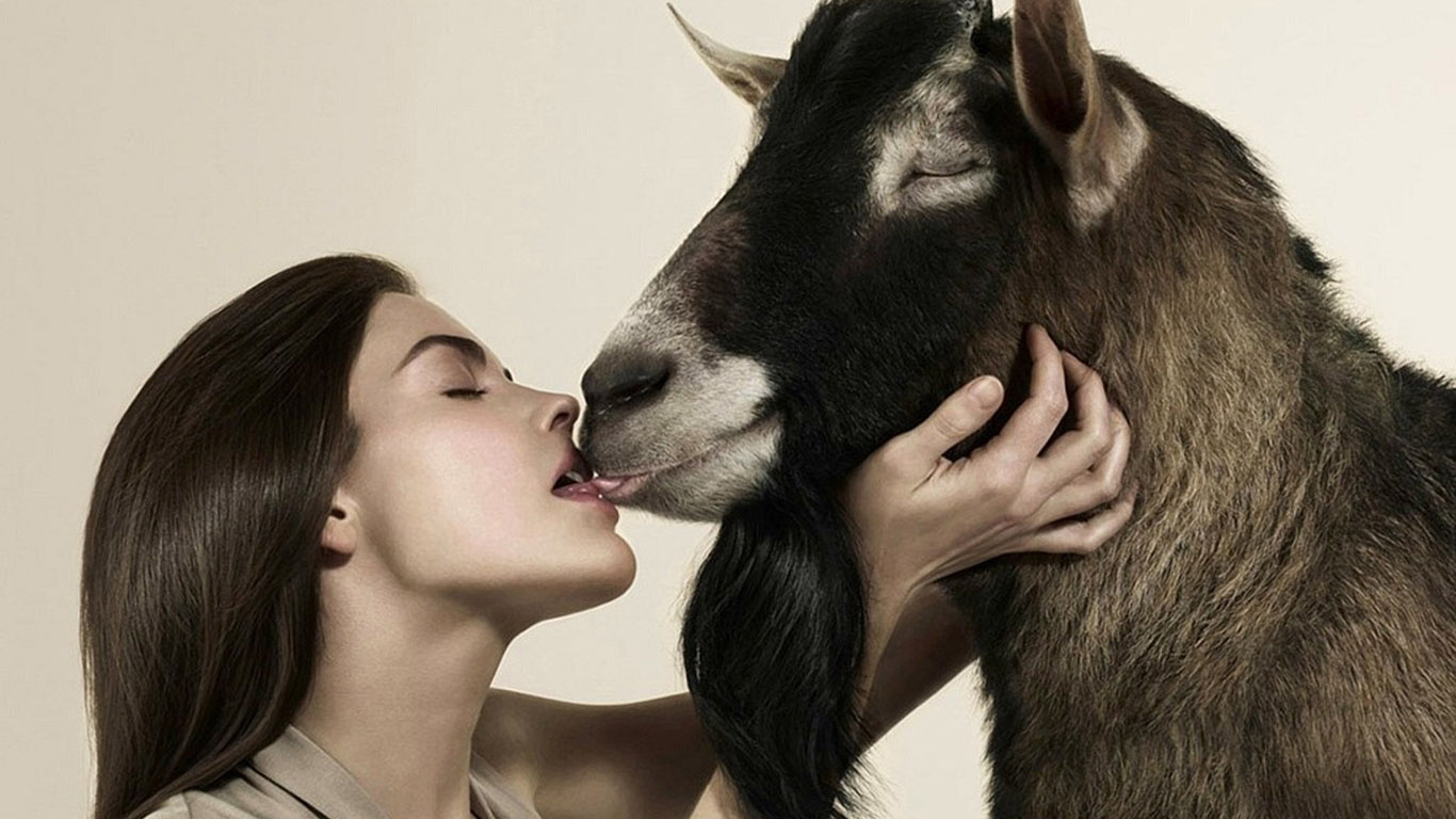 две козы. поцелуй девушки и козы  , обои разные девушки