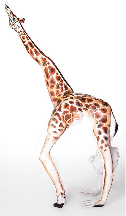 Жираф тянущийся за веткой создан на теле стоящей в гимнастической позе девушки, бодиарт, рисунок на теле, фото бодиарта
