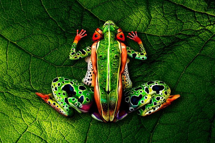 Эту тропическую лягушку изображают пять человек, бодиарт, рисунок на теле, фото бодиарта