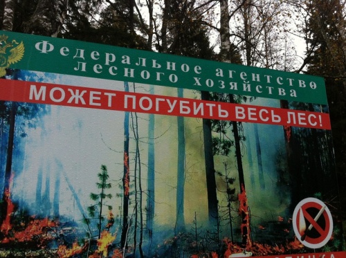 Федеральное агенство лесного хозяйства может погубить весь лес, кошмарная реклама 9 фото