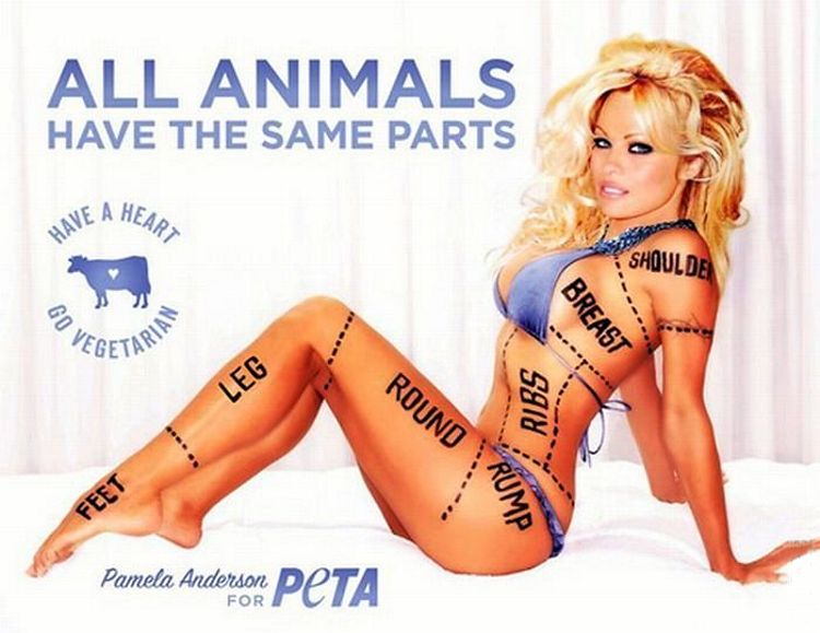 реклама вегетарианства с Памелой Андерсон, бизнес картинка