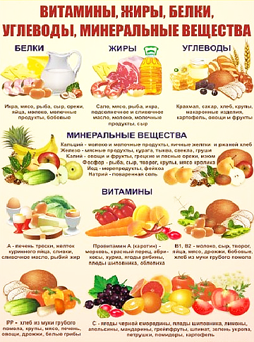 заставка к таблице содержания питательных веществ в продуктах