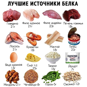 заставка к таблице содержания белка в продуктах