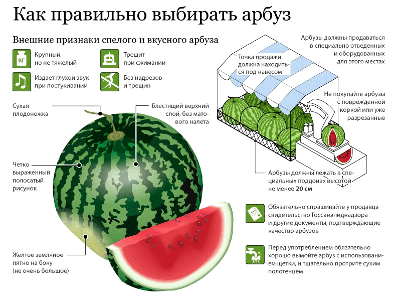 как правильно выбрать спелый и вкусный арбуз