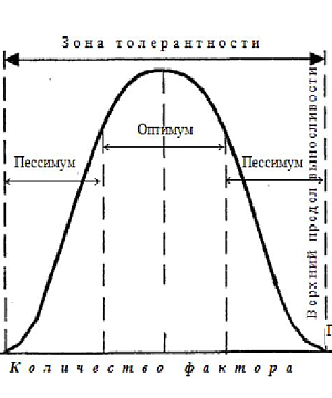 фото к оптимальной диете