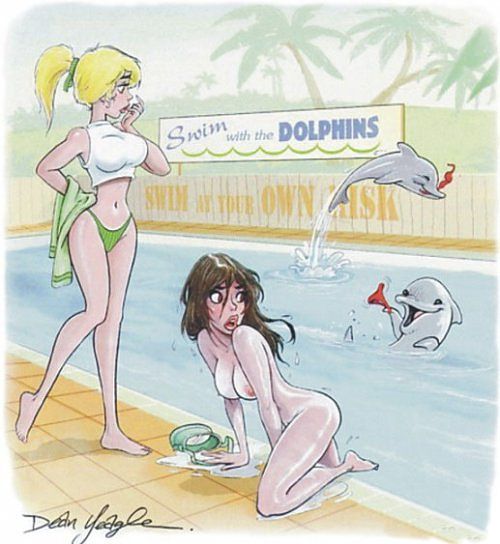 купание девушек вместе с дельфинами в бассейне приводит к непредсказуемым последствиям
