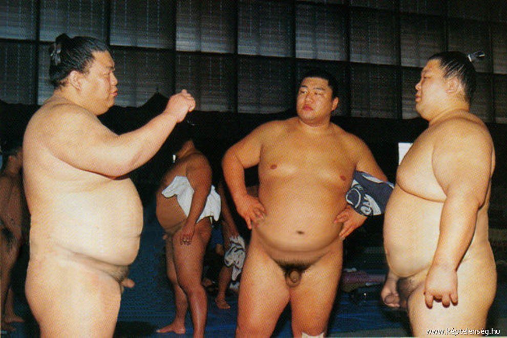 у борцов сумо обычно очень маленькие половые члены, фото полового члена