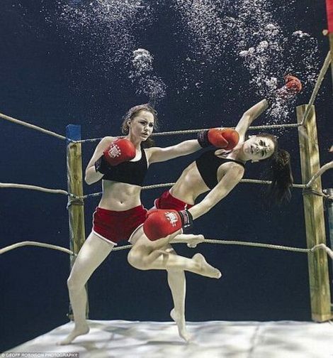 нокаут. боксерский бой девушек под водой. бесплатная прикольная картинка