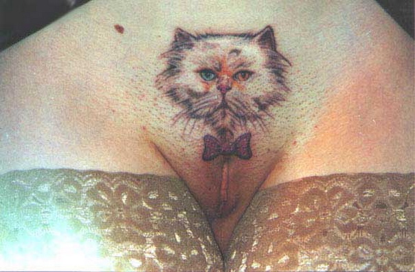 кот, тату бикини, женская татуировка фото