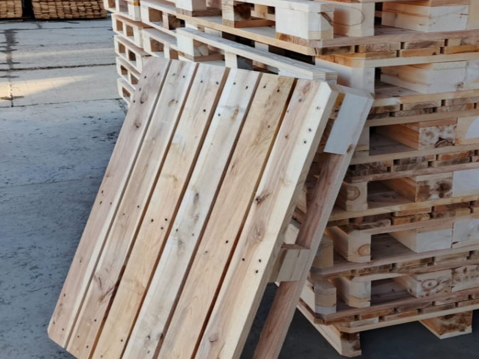 Деревянные поддоны от производителя: как выбрать, где купить и почему они выгодны