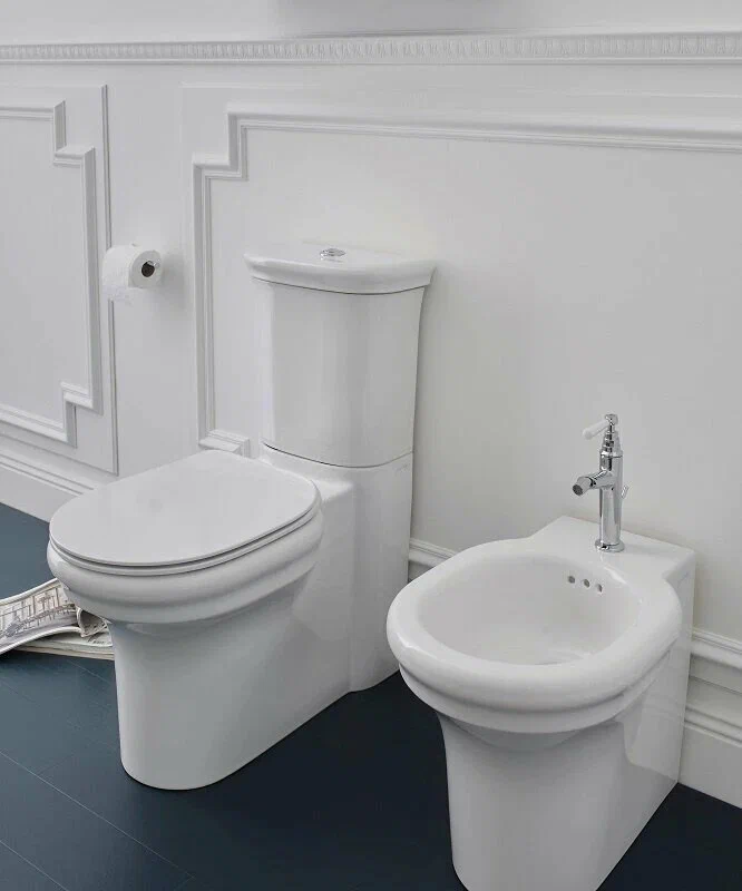 Современные решения в сфере сантехники и санфаянса: как выбрать идеальные комплектующие для комфорта и долговечности 1 Современные решения в сфере сантехники и санфаянса: как выбрать идеальные комплектующие для комфорта и долговечности